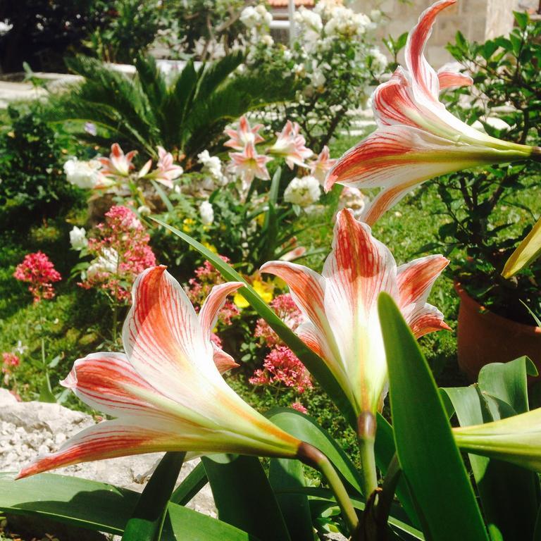 Apartment Flora Mlini Bilik gambar
